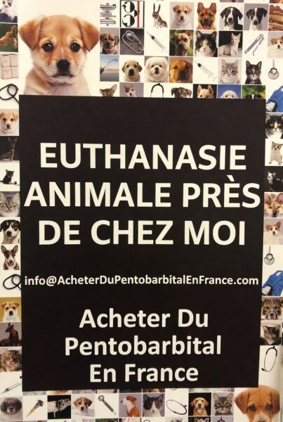 Euthanasie animale pres de chez moi